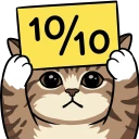 10-10.webp