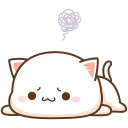 cat-confuse.webp