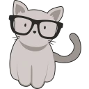 cat-curious.webp