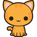 cat-orange.webp